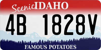 ID license plate 4B1828V