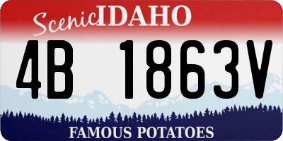 ID license plate 4B1863V