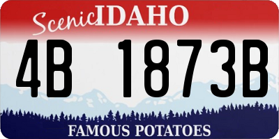 ID license plate 4B1873B