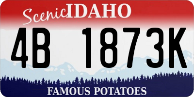 ID license plate 4B1873K