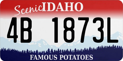 ID license plate 4B1873L