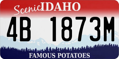 ID license plate 4B1873M