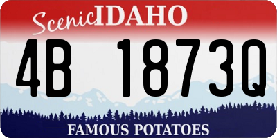 ID license plate 4B1873Q