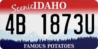 ID license plate 4B1873U