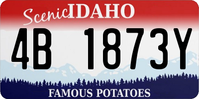 ID license plate 4B1873Y