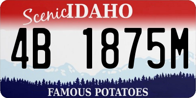ID license plate 4B1875M