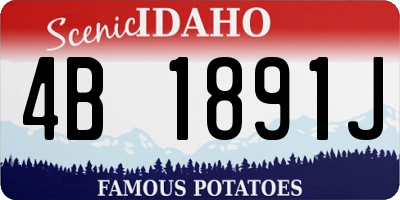 ID license plate 4B1891J