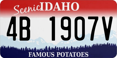 ID license plate 4B1907V