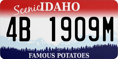 ID license plate 4B1909M