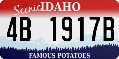 ID license plate 4B1917B