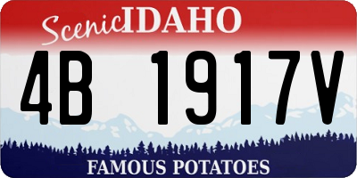 ID license plate 4B1917V