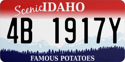ID license plate 4B1917Y