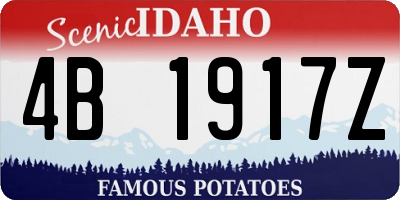 ID license plate 4B1917Z