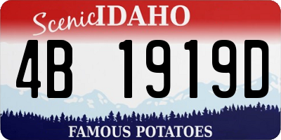 ID license plate 4B1919D
