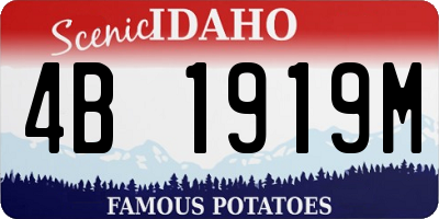 ID license plate 4B1919M