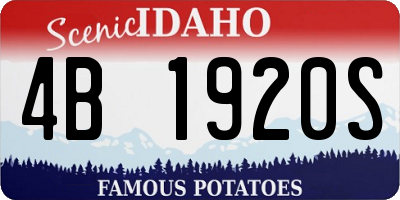ID license plate 4B1920S