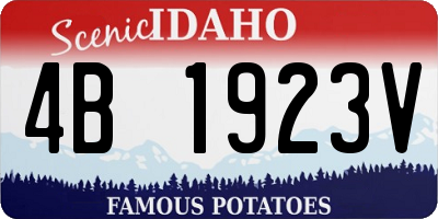 ID license plate 4B1923V