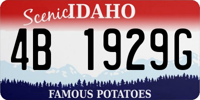 ID license plate 4B1929G