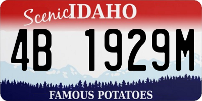 ID license plate 4B1929M