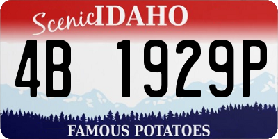 ID license plate 4B1929P