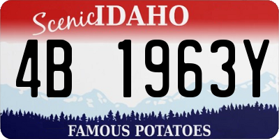 ID license plate 4B1963Y