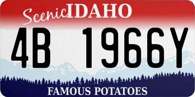 ID license plate 4B1966Y