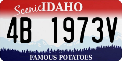 ID license plate 4B1973V