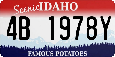 ID license plate 4B1978Y