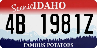 ID license plate 4B1981Z