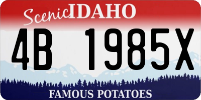 ID license plate 4B1985X