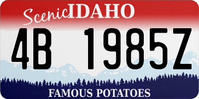 ID license plate 4B1985Z