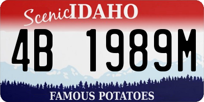 ID license plate 4B1989M