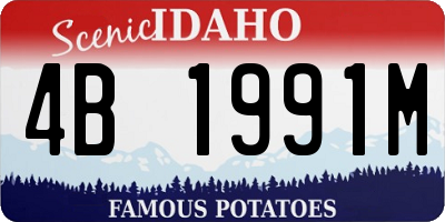 ID license plate 4B1991M