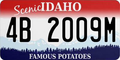 ID license plate 4B2009M