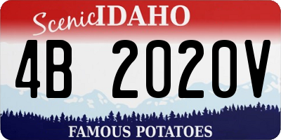 ID license plate 4B2020V