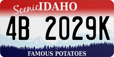ID license plate 4B2029K