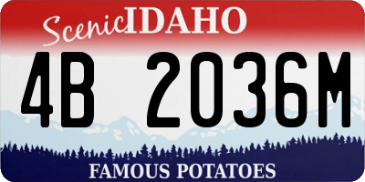 ID license plate 4B2036M