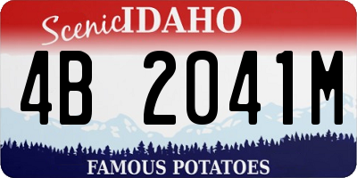 ID license plate 4B2041M