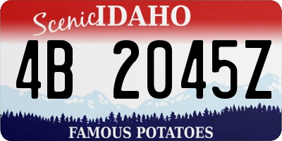 ID license plate 4B2045Z