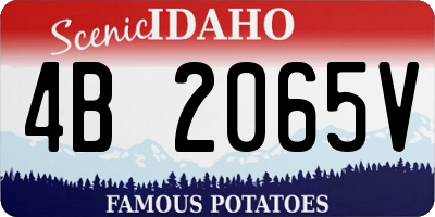 ID license plate 4B2065V