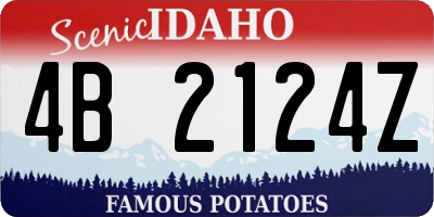 ID license plate 4B2124Z