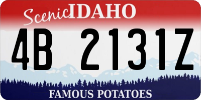 ID license plate 4B2131Z