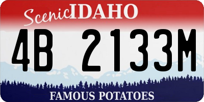 ID license plate 4B2133M