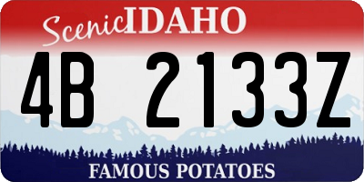 ID license plate 4B2133Z
