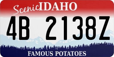 ID license plate 4B2138Z