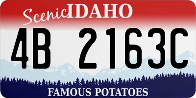 ID license plate 4B2163C