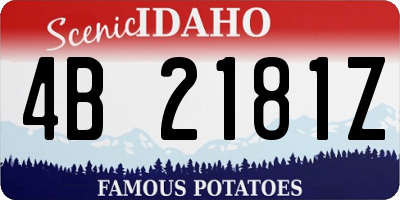 ID license plate 4B2181Z