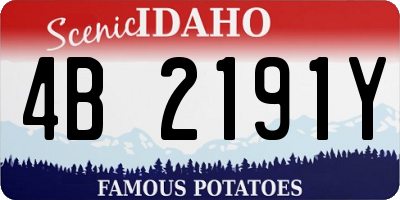 ID license plate 4B2191Y
