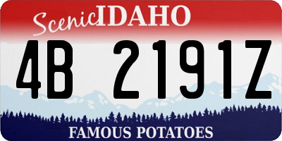 ID license plate 4B2191Z