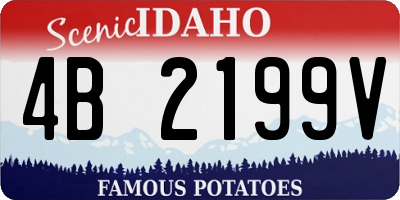 ID license plate 4B2199V